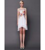 White Sleeveless Contrast Mesh Yoke Embroidery Dress